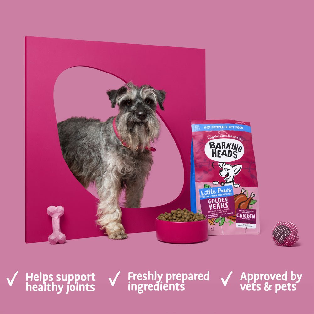 Fresh Look at Little Paws Golden Years Chicken Dry Dog Food For Small