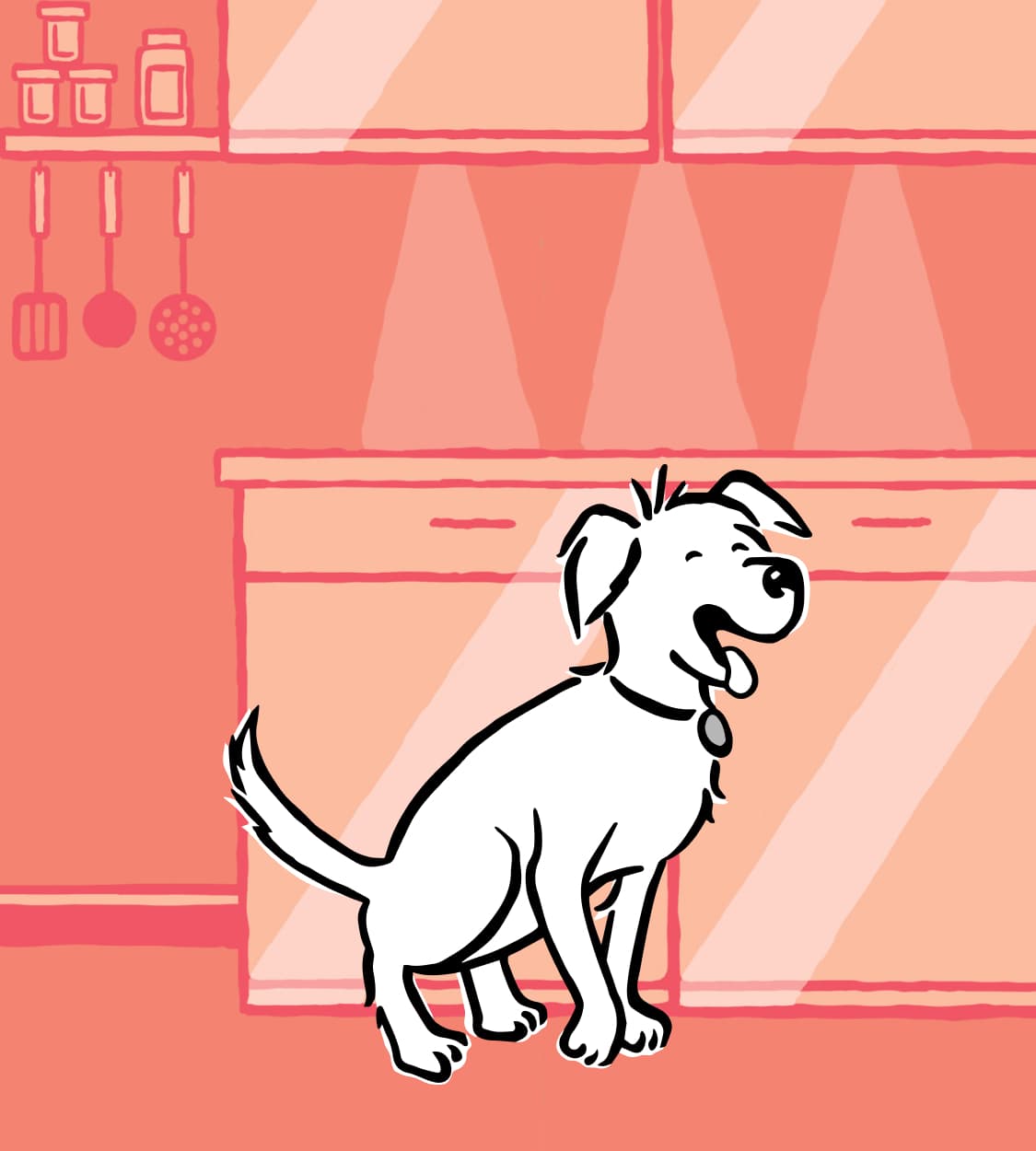 Bailey the Dog in a Kitchen
