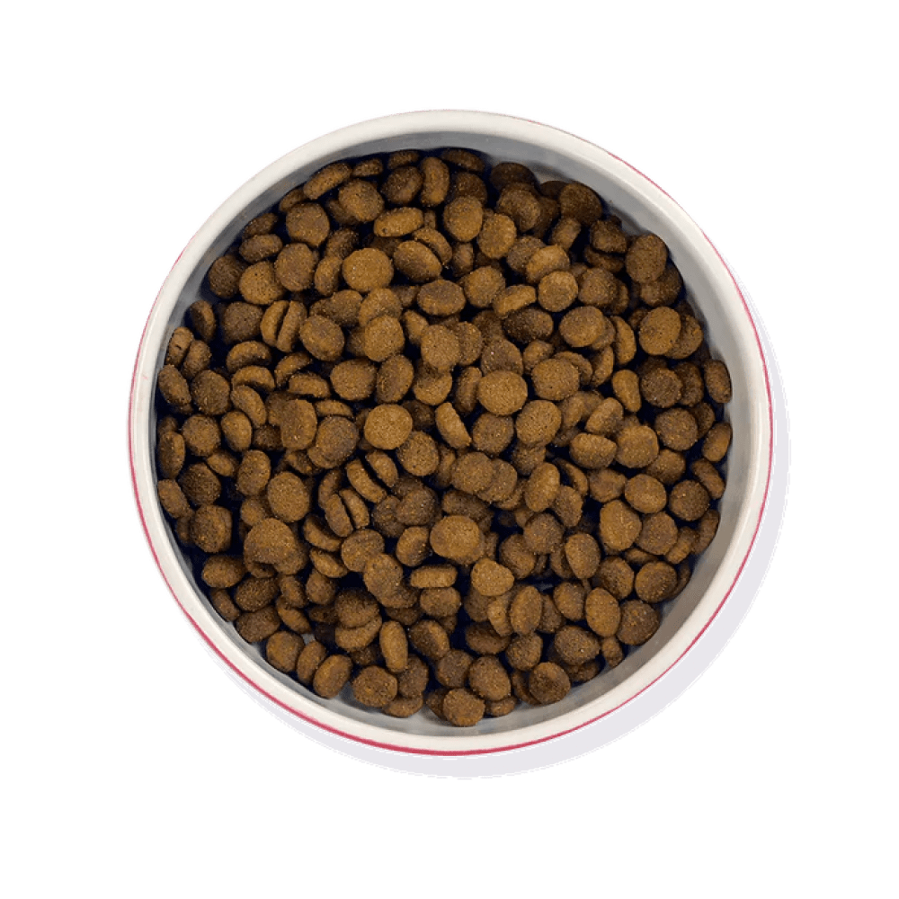 Paw Lickin' Chicken - Dry Food - Barking Heads & Meowing Heads