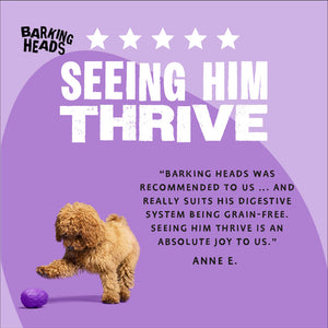 Puppy Days Wet Dog Food - All Hounder - Barking Heads & Meowing Heads