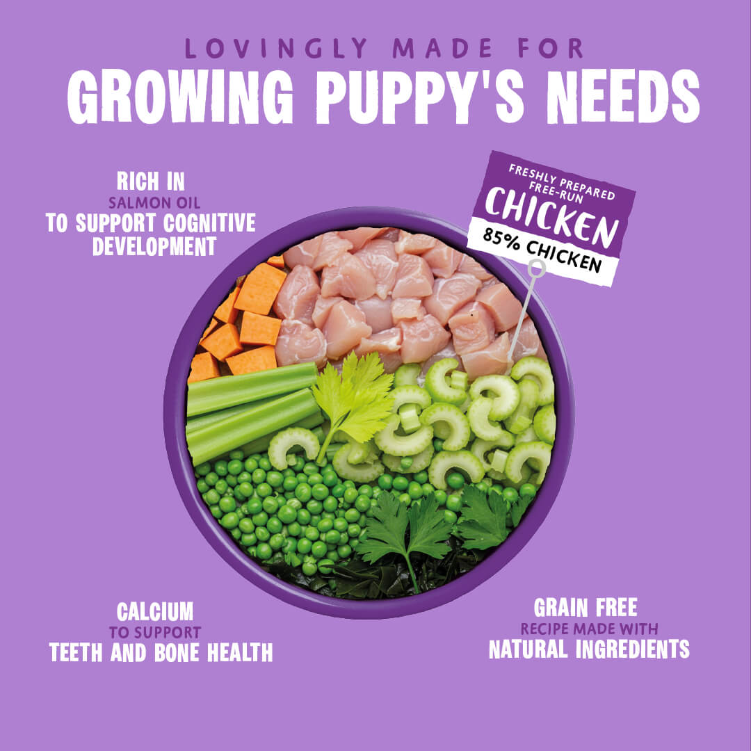 Puppy Days Wet Dog Food - All Hounder - Barking Heads & Meowing Heads