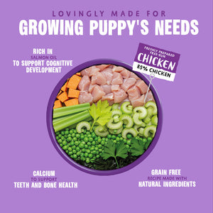 Puppy Days Wet Dog Food - All Hounder - Barking Heads & Meowing Heads