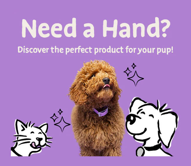 Purple background with a brown dog, cat, and cartoon dog illustration, text 'Need a Hand? Discover the perfect product for your pup!'.