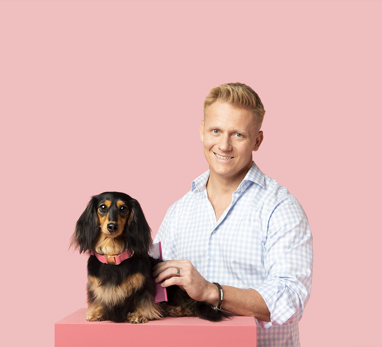 Dog with bag of food and cartoon dog