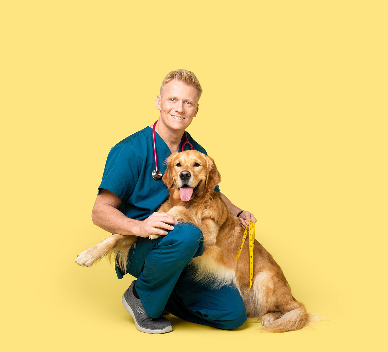 Dog with bag of food and cartoon dog