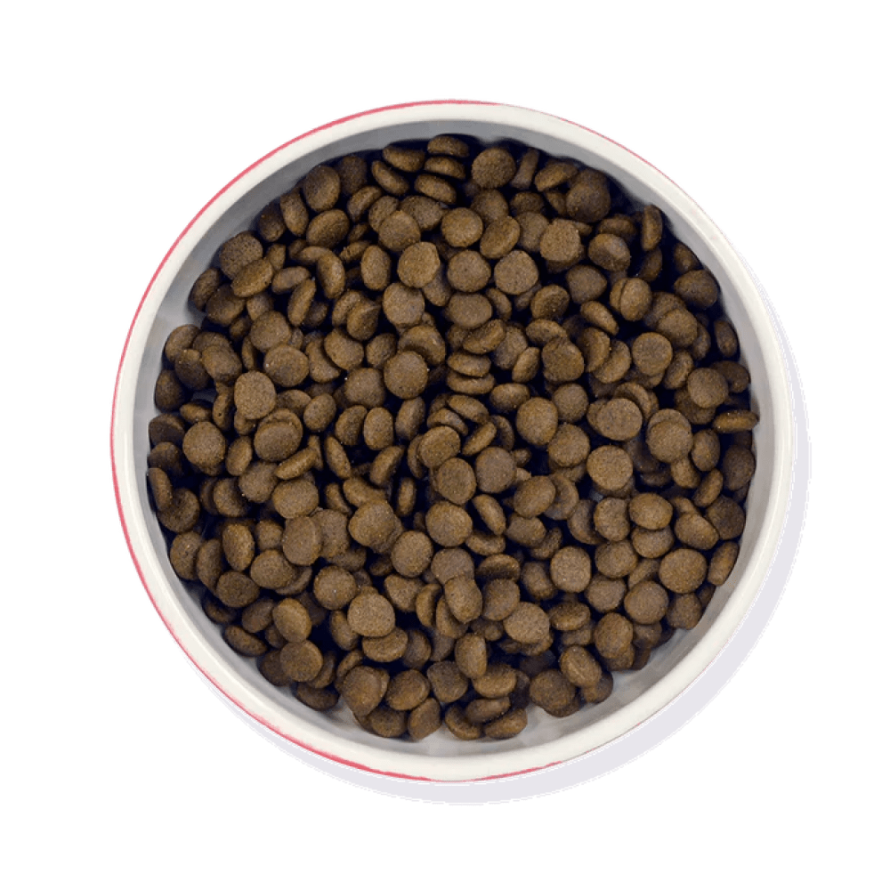 Senior Moments - Dry Food - Barking Heads & Meowing Heads