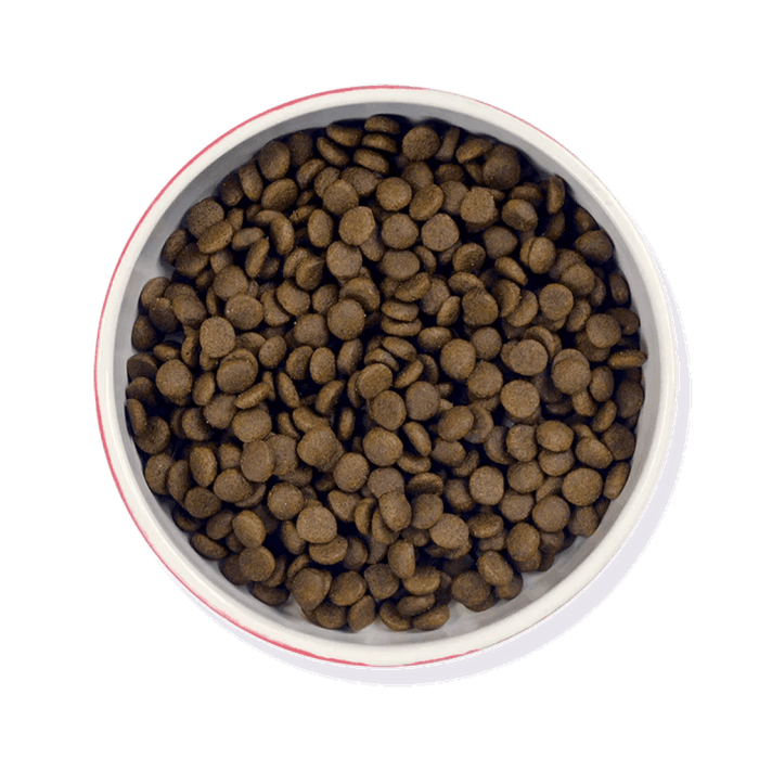 Senior Moments - Dry Food - Barking Heads & Meowing Heads