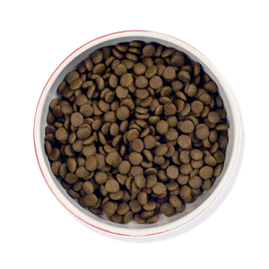 Senior Moments Multi Buy - Barking Heads & Meowing Heads