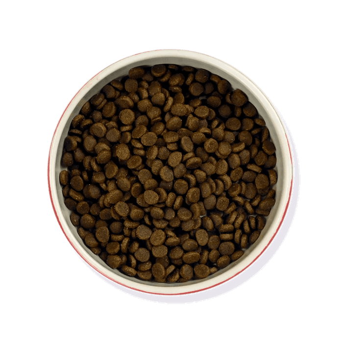 So-fish-ticated Salmon - Dry Food - Barking Heads & Meowing Heads