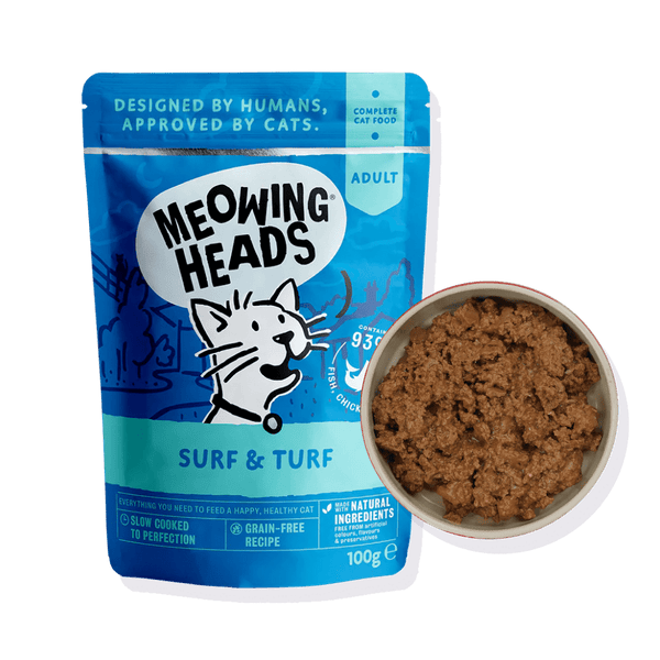 Cat meowing for wet food best sale