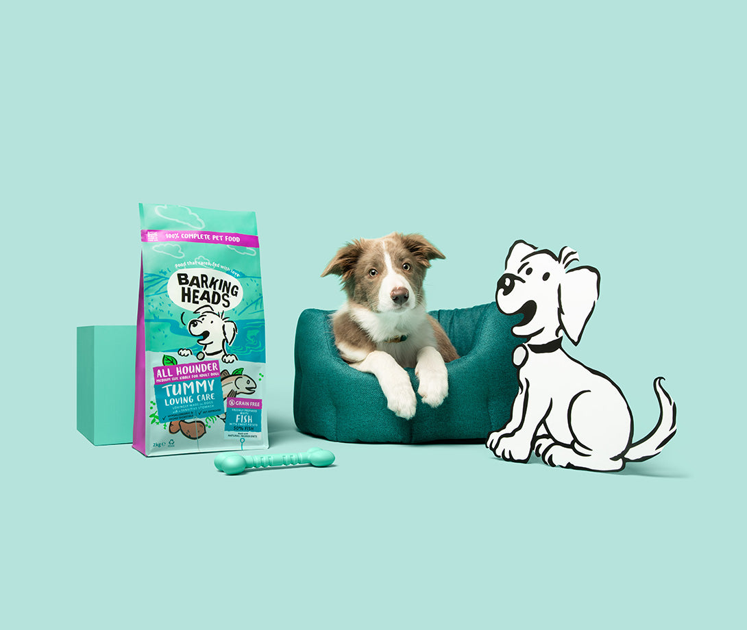 Dog with bag of food and cartoon dog