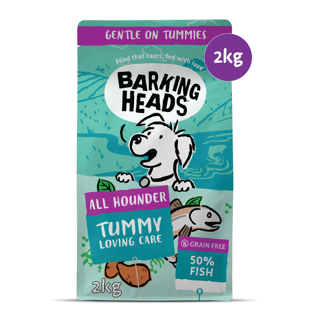 Tummy Loving Care Fish Dry Dog Food - All Hounder - Barking Heads & Meowing Heads