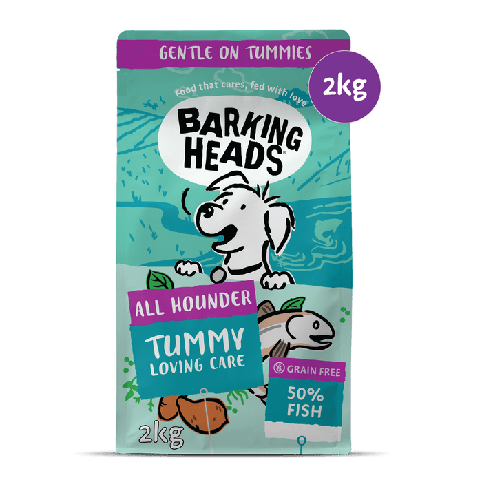 Tummy Loving Care Fish Dry Dog Food - All Hounder - Barking Heads & Meowing Heads