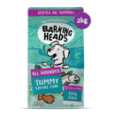 Tummy Loving Care Fish Dry Dog Food - All Hounder