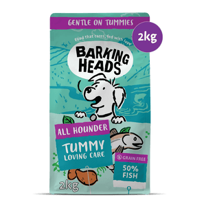 Tummy Loving Care Fish Dry Dog Food - All Hounder