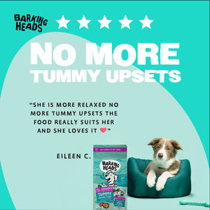 Tummy Loving Care Fish Dry Dog Food - All Hounder - Barking Heads & Meowing Heads