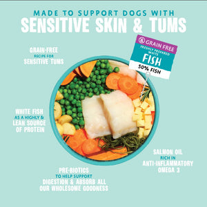 Tummy Loving Care Fish Dry Dog Food - All Hounder - Barking Heads & Meowing Heads
