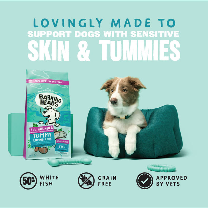 Tummy Loving Care Fish Dry Dog Food - All Hounder - Barking Heads & Meowing Heads