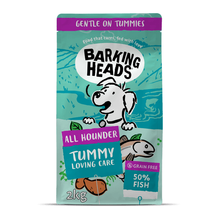 Tummy Loving Care Fish Dry Dog Food All Hounder