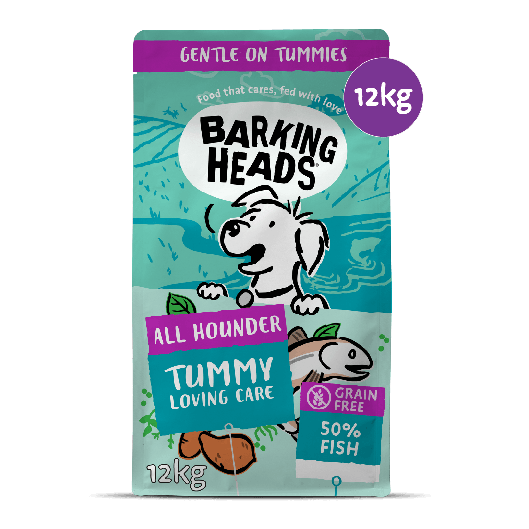 Tummy Loving Care Fish Dry Dog Food - All Hounder - Barking Heads & Meowing Heads