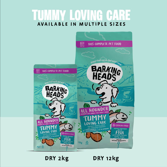 Tummy Loving Care Fish Dry Dog Food - All Hounder - Barking Heads & Meowing Heads