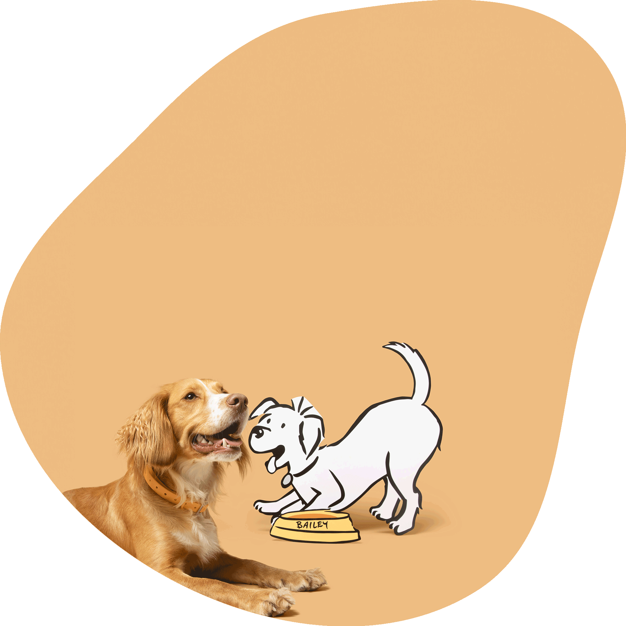 Real dog next to a cartoon dog on a beige background
