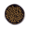 Beef Waggington Dry Food Bowl of Kibble