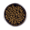 Beef Waggington Dry Dog Food Bowl of Kibble