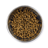 Little Paws Bowl Lickin Chicken dry dog food bowl of kibble