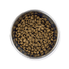 Little Paws Chop Lickin Lamb dry dog food bowl of kibble